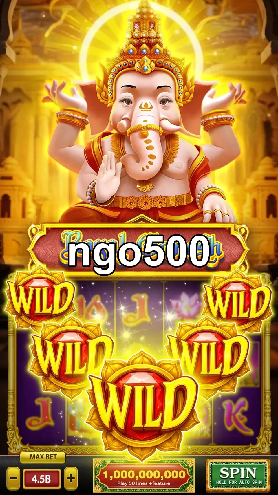 ngo500 Masuk